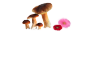 きのこ